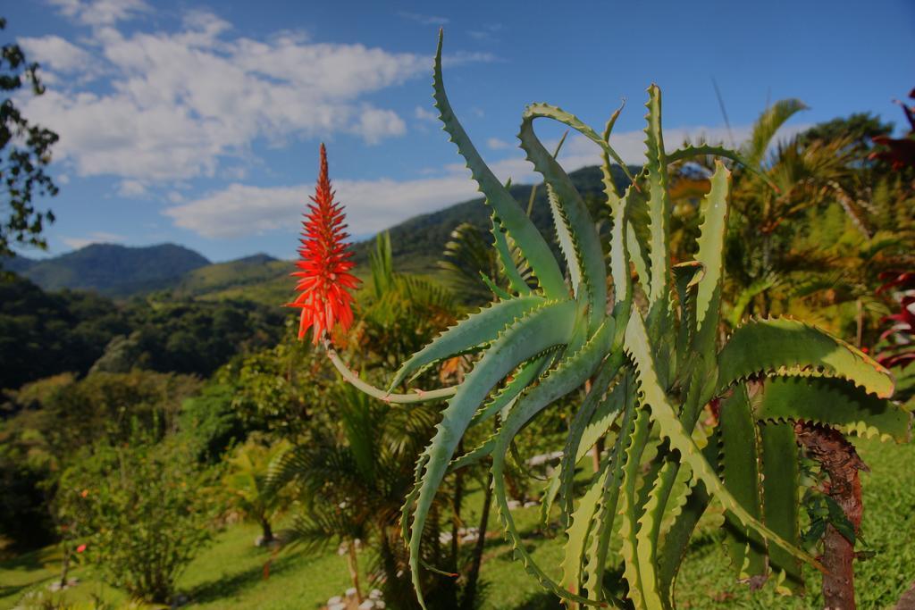 Pousada Coracao Verde ミゲウ・ペレイラ エクステリア 写真